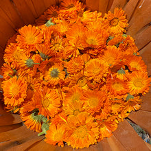 Load image into Gallery viewer, Rub A Dub Balm